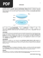 Cristalino y Retina