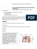 Neurología Enfermería