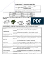 Evaluación Parcial Unidad 1 Ciencias 6bCADENASTROFICAS