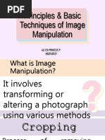 Basic Techniques of Image Manipulation