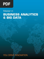 Business Analytics & Big Data: Master in