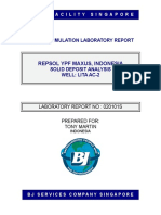 Repsol Ypf Maxus, Indonesia: Region Stimulation Laboratory Report