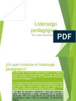 2.liderazgo Pedagógico - Dimensiones