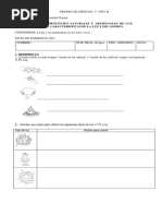 Prueba de Ciencias 3°