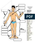 Partes Del Cuerpo Humano en Qeqchi