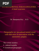 Extra-Adrenal Paraganglioma: A Brief Overview