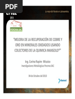 08 Mejora de La Recuperación de Au y Cu en Minerales Oxidados Usando Colectores de La Quimica MAXGOLD - Corina Rupire (Mo 1