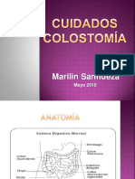 Cuidados Colostomía