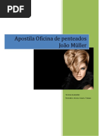 E Book Curso Rpido de Penteados PDF