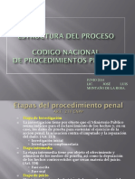 Estructura Del Proceso CNPP