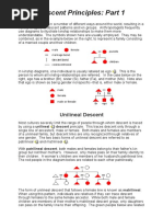 The Nature of Kinship - Descent Principles (Part 1) PDF