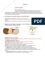 Especialidad de Semillas Desarrollada