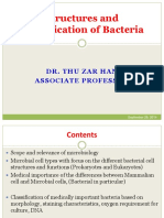 1 Structure and Identification of Bacteria 2014 2 1 PDF