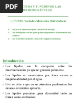 LIPIDOS