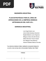 Trabajo Final Plan Estrategico