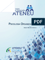 Psicologia Organizacional