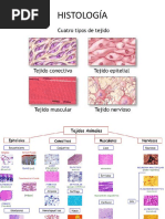 02-18 Tejido Epitelial