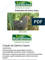 Princípios Básicos de Produção Sustentável de Galinha Caipira