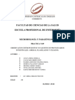 Guia de Practica n.9 Parasitos PDF