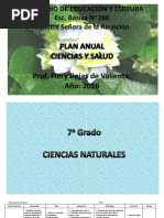 Plan Anual 7mo. Grado PDF