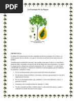 La Papaya Agrometeorologia