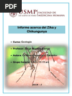 Informe