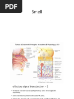 Biochemistry of Olfaction