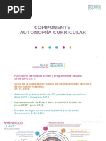 4 Componente de La Autonomia Curricular 27.ppsx