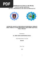 Calidad Del Agua Río Piura Índice BMWP 2018