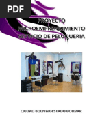 Proyecto Peluqueria