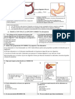 Sistema Digestivo 2018