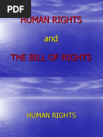 Bill of Rights Lecture