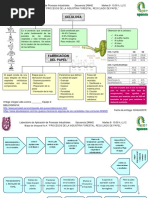 Mapa 4 Lab