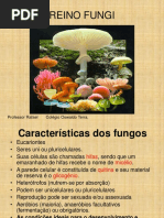 Fungos Aula