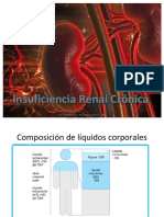 Insuficiencia Renal Cronica