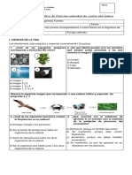 Prueba de Diagnóstico de Ciencias Cuarto