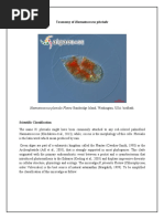 Taxonomy of Haematococcus Pluvialis