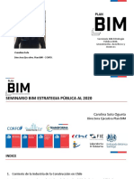 Estrategia Publica Bim Al 2020 Carollina Soto