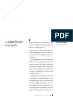 Las Organizaciones Emergentes