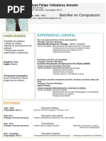 Curriculum Vitae Felipe