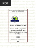 Formato de Plan de Practicas