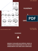 Filogénes e Ontogénese