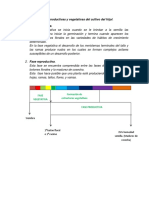 Etapas Reproductivas y Vegetativas Del Cultivo Del Frijol