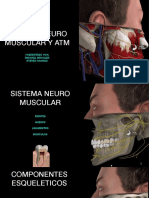 Atm Neuromuscular