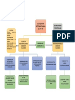 Organizador Grafico Corte CIDH