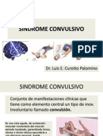 Sindrome Convulsivo Importante