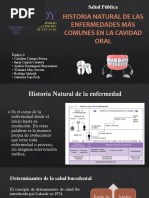 Historia Natural de La Enfermedad