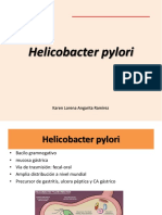 Helicobacter Pylori