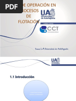 Flotacion 1