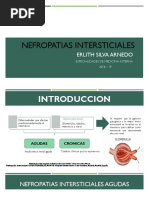 Nefropatias Intersticiales